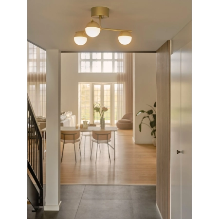 Lampa sufitowa Contina – mosiężna + 3 klosze szklane NO2512096035 - Nordlux